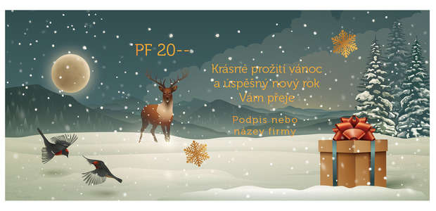 Novoroční přání 35