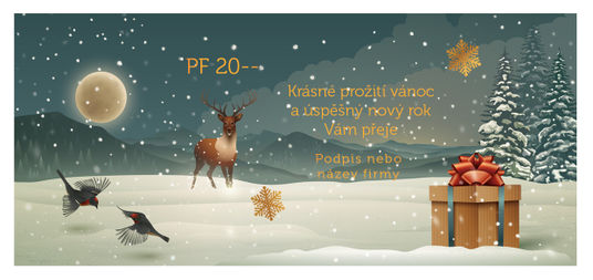 Novoroční přání 35