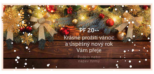 Novoroční přání 21