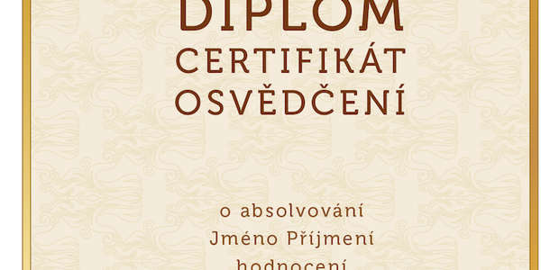 Diplom 3