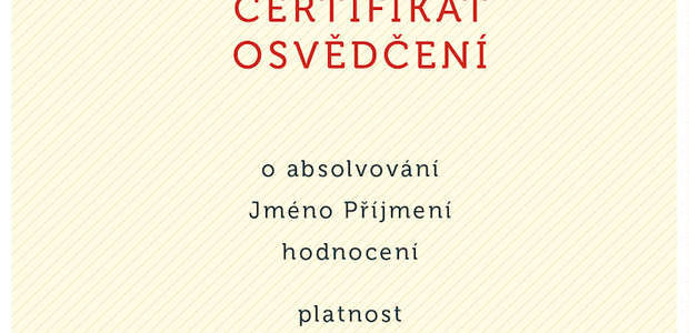 Diplom 5