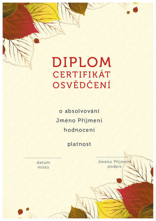 Diplom 5