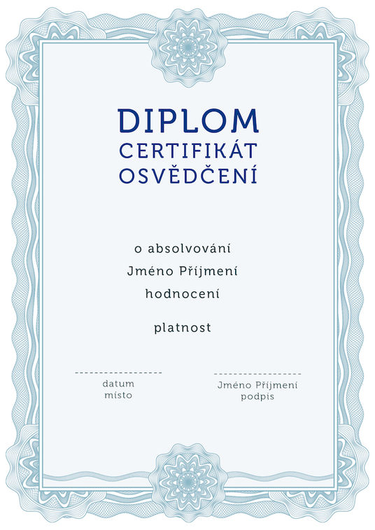 Diplom 7