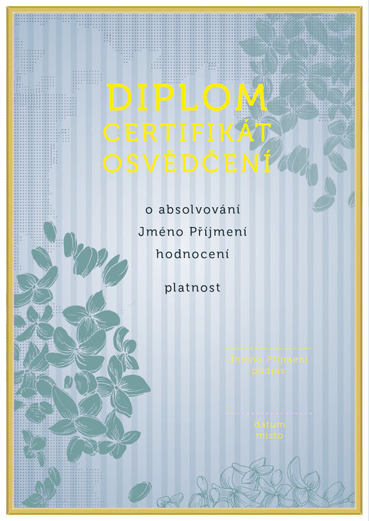 Diplom 10