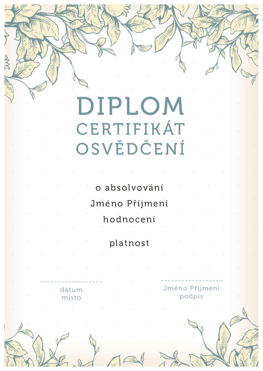 Diplom 13