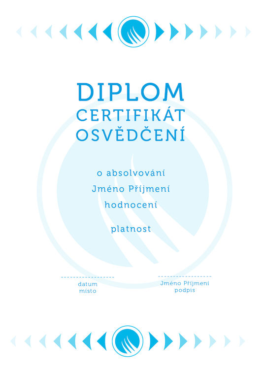 Diplom 14