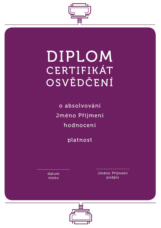 Diplom 17