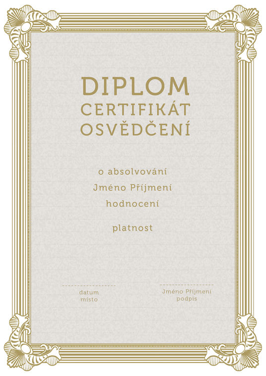 Diplom 19