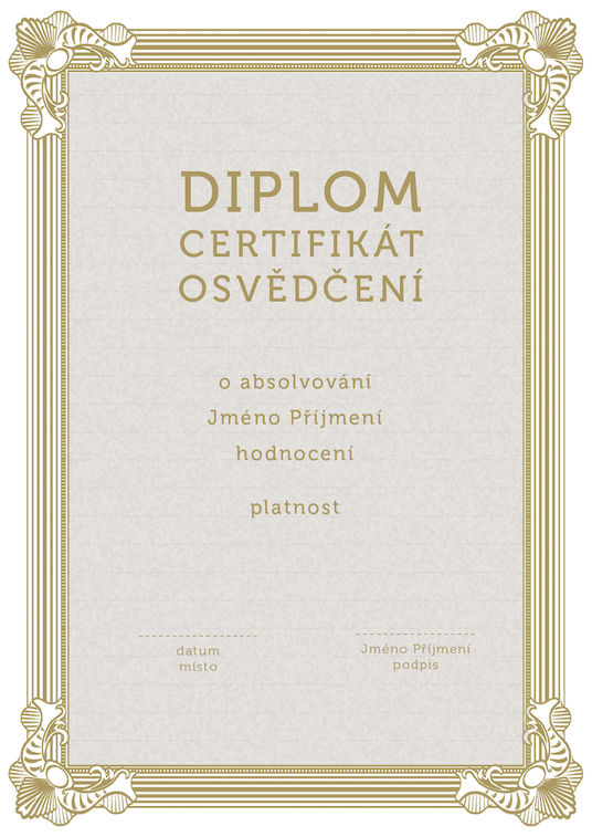 Diplom 19